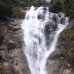 jangkar