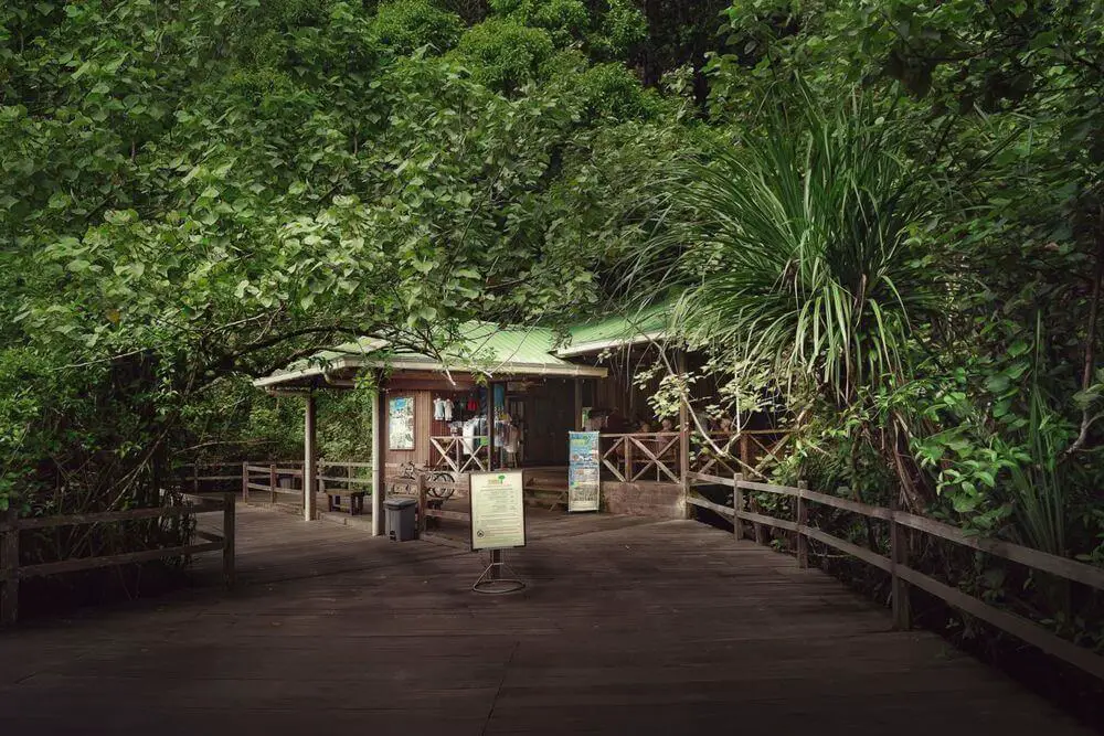 3 Resort Dalam Hutan Hujan Tropika Yang Anda Perlu Cuba Di Sarawak