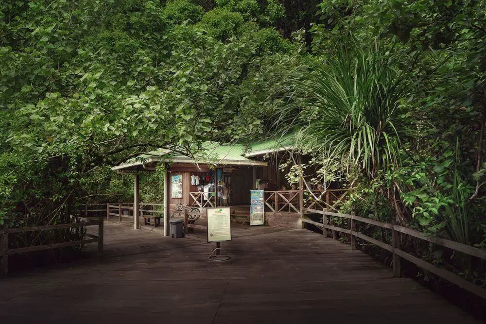 3 Resort Dalam Hutan Hujan Tropika Yang Anda Perlu Cuba Di Sarawak 3 Resort Dalam Hutan Hujan Tropika Yang Anda Perlu Cuba Di Sarawak