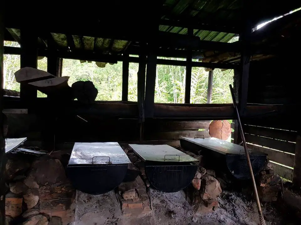 10 Aktiviti Menarik Jika Anda Berkunjung Ke Bario Sarawak