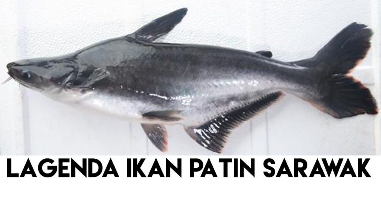 Lagenda Ikan  Patin Dan Mengapa Ramai Melayu Sarawak Tidak  