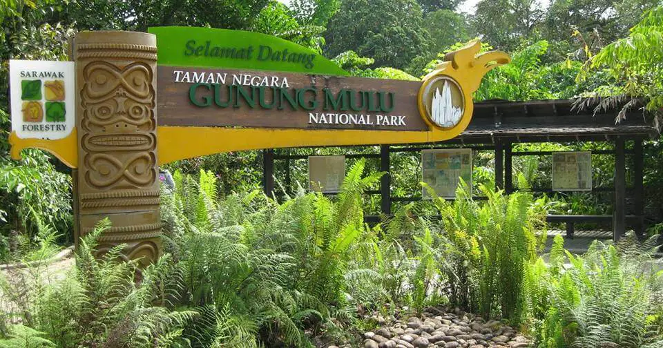 3 Taman Negara Yang Anda Perlu Kunjungi Jika Pergi Ke Sarawak
