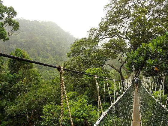 3 Taman Negara Yang Anda Perlu Kunjungi Jika Pergi Ke Sarawak