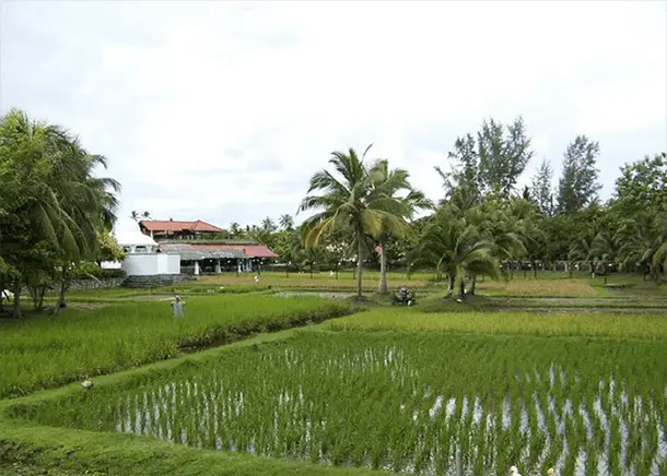 AirAsia Kini Terbang Terus Dari Kuching Ke Langkawi, Ini 10 Tempat Menarik Untuk Anda Lawati AirAsia Kini Terbang Terus Dari Kuching Ke Langkawi, Ini 10 Tempat Menarik Untuk Anda Lawati
