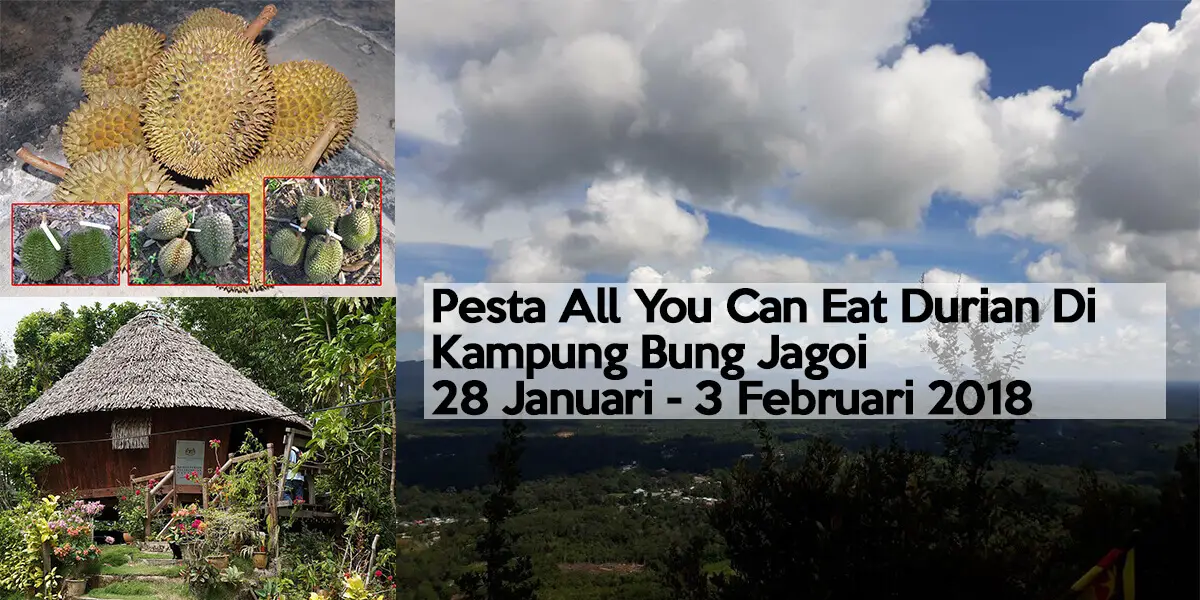 Pesta All You Can Eat Durian Di Kampung Bung Jagoi, Hujung Bulan Ini