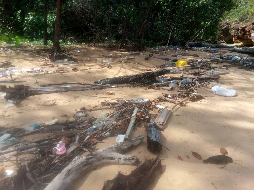 Pemandu Bot Lancarkan Program Bersihkan Pantai Taman Negara Bako 2-4 Mei Pemandu Bot Lancarkan Program Bersihkan Pantai Taman Negara Bako 2-4 Mei