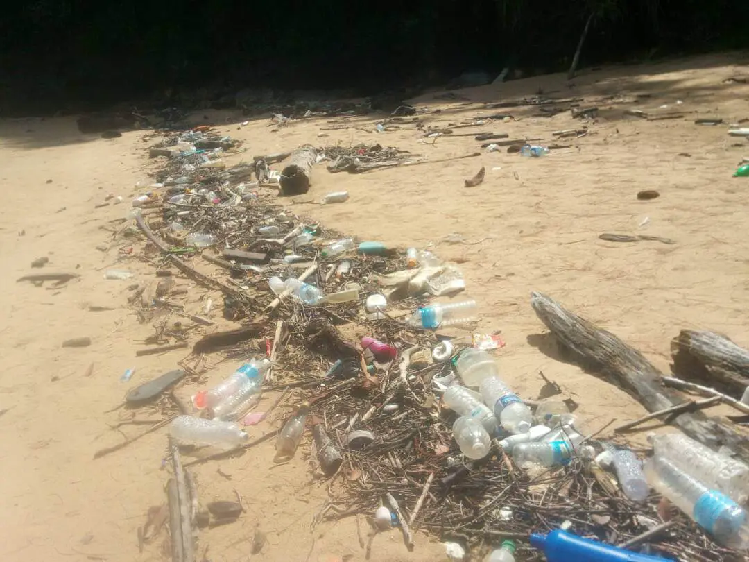 Pemandu Bot Lancarkan Program Bersihkan Pantai Taman Negara Bako 2-4 Mei Pemandu Bot Lancarkan Program Bersihkan Pantai Taman Negara Bako 2-4 Mei