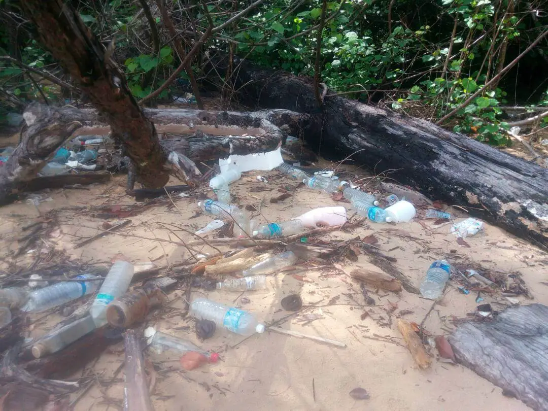 Pemandu Bot Lancarkan Program Bersihkan Pantai Taman Negara Bako 2-4 Mei Pemandu Bot Lancarkan Program Bersihkan Pantai Taman Negara Bako 2-4 Mei