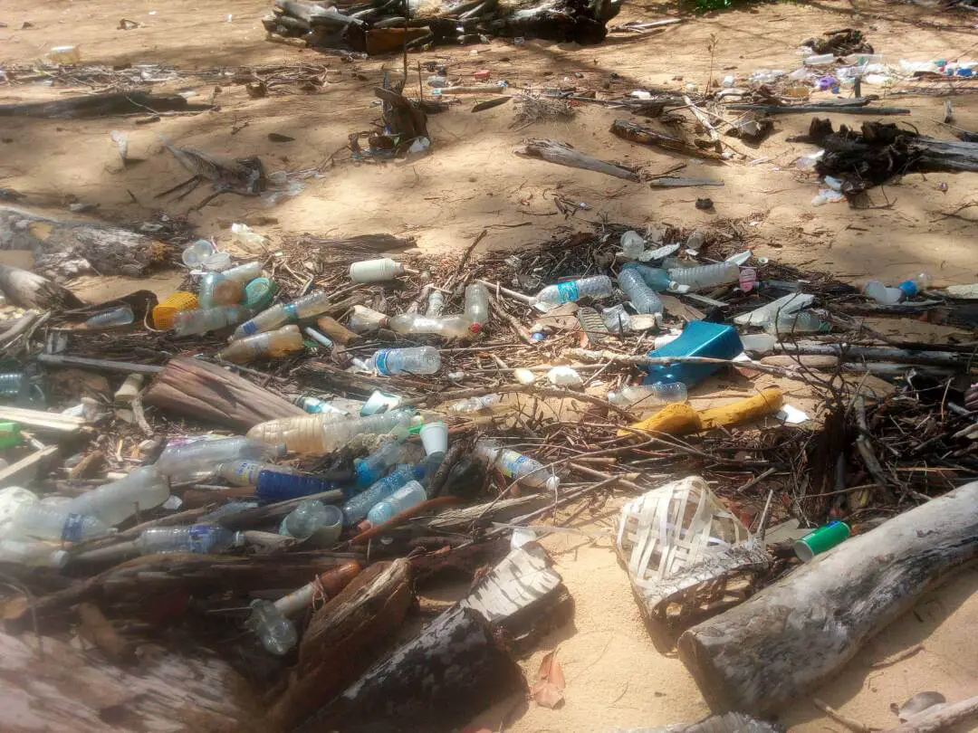 Pemandu Bot Lancarkan Program Bersihkan Pantai Taman Negara Bako 2-4 Mei Pemandu Bot Lancarkan Program Bersihkan Pantai Taman Negara Bako 2-4 Mei