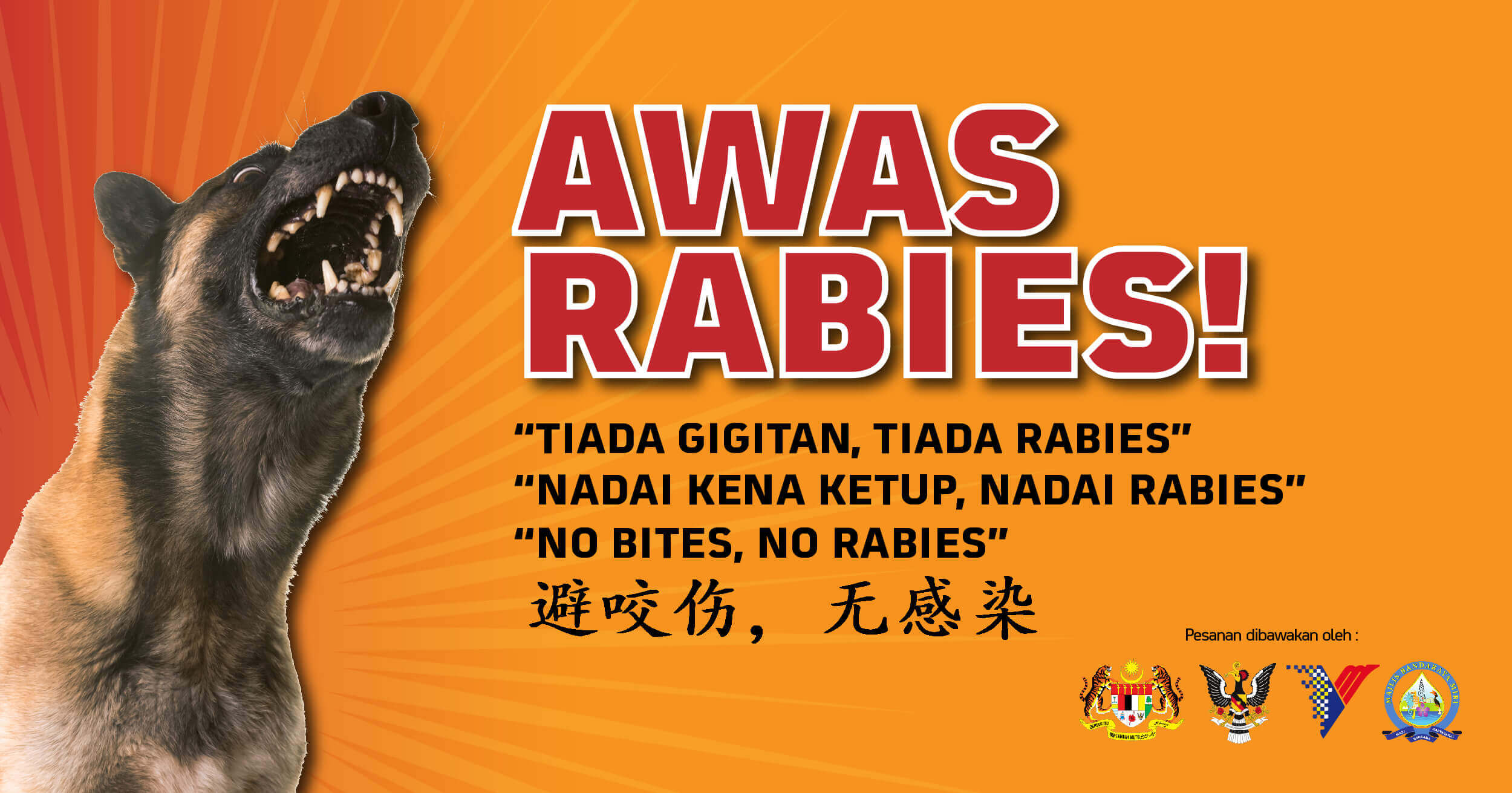 Cara Untuk Mencegah Rabies Dan Tindakan Susulan Yang Anda Perlu Tahu