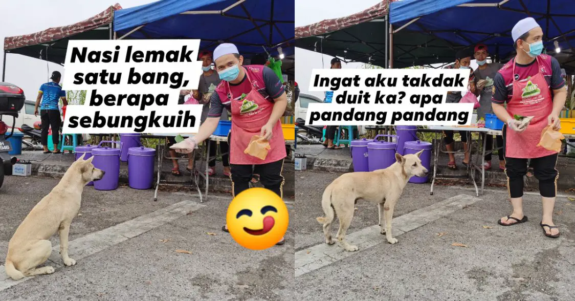 Tular Anjing Beratur 'Beli' Nasi Lemak Di Kuching, Netizen Puji Sikap Pemilik Gerai