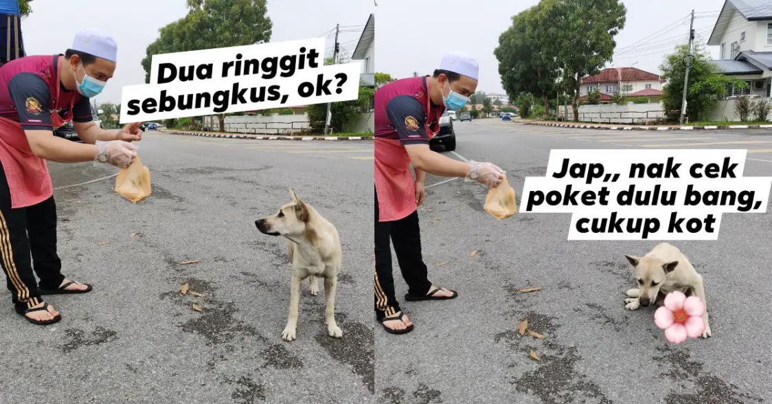 Tular Anjing Beratur 'Beli' Nasi Lemak Di Kuching, Netizen Puji Sikap Pemilik Gerai