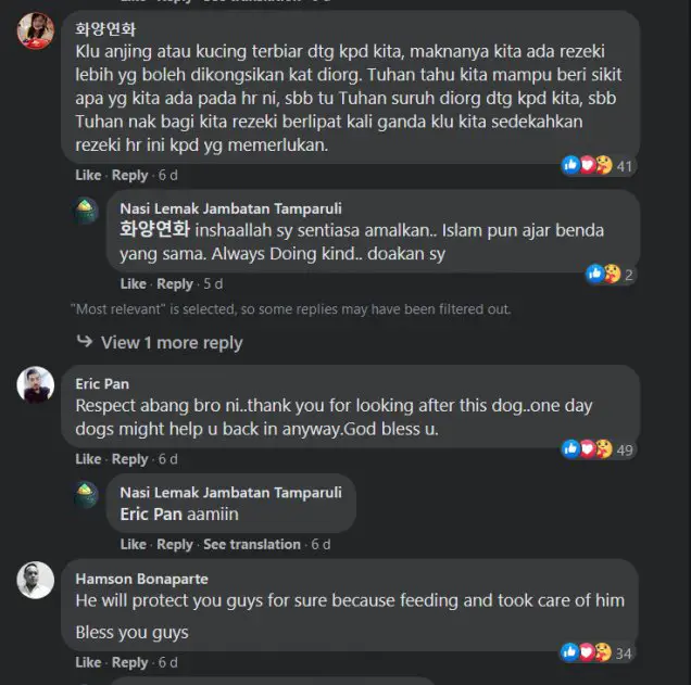 Tular Anjing Beratur 'Beli' Nasi Lemak Di Kuching, Netizen Puji Sikap Pemilik Gerai