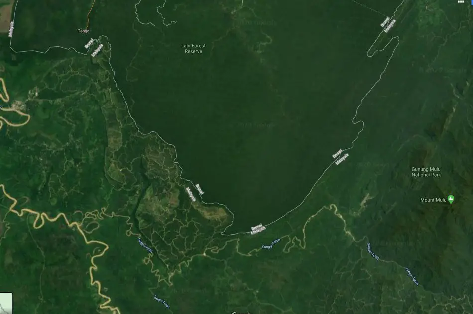 Perbezaan Ketara Hutan Di Sarawak Dan Brunei, Lihat Imej Mengejutkan Dari NASA Ini