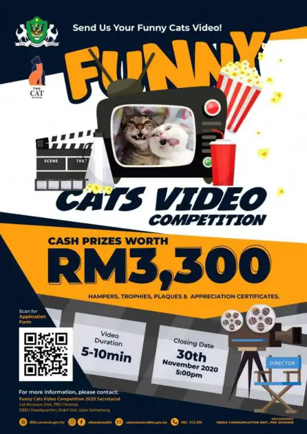 Ketahui Cara Untuk Dapatkan Habuan Lumayan Hanya Dengan Video Kucing Kesayangan Anda